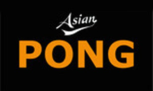 Pong logotyp